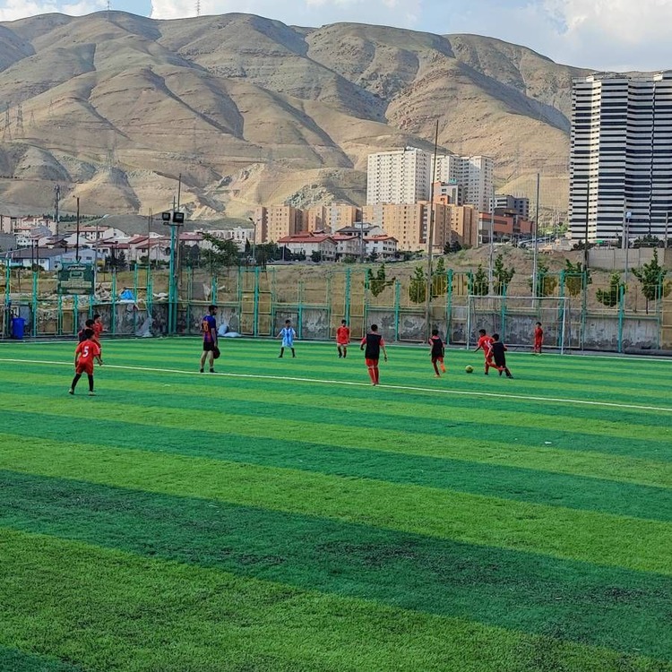 زمین چمن مصنوعی نگین غرب تهران
